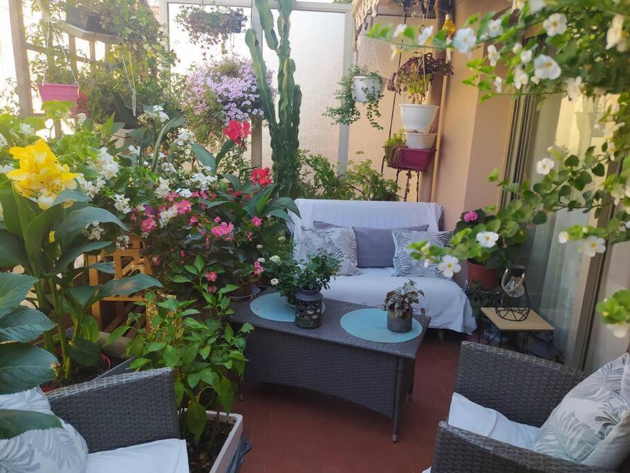 尼斯Chambre D'Hote De Charme Avec Petit Dejeuner Offert公寓 外观 照片